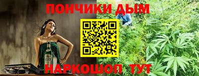 сатива Шахты