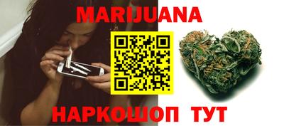 стаф Шелехов