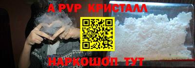 стаф Шелехов