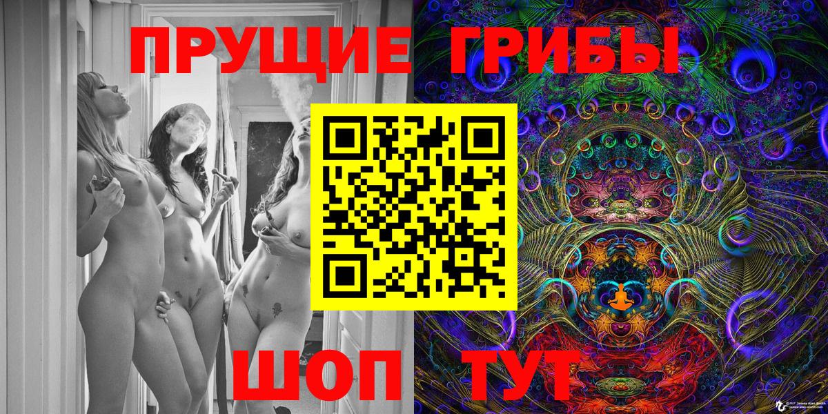 Людиново  Псилоцибиновые грибы Cubensis  Вход с VPN 