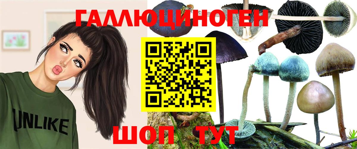 Псилоцибиновые грибы мухоморы Людиново